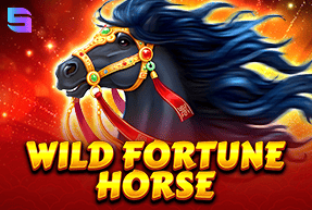 Wild Fortune Horse