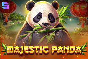 Majestic Panda