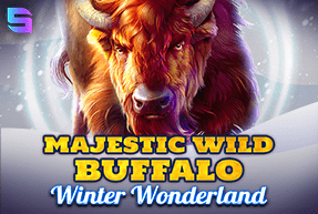 Majestic Wild Buffalo -Winter Wonderland
