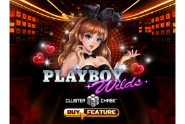 Playboy Wilds