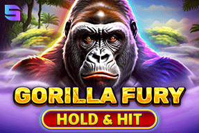 Gorilla Fury - Hold & Hit